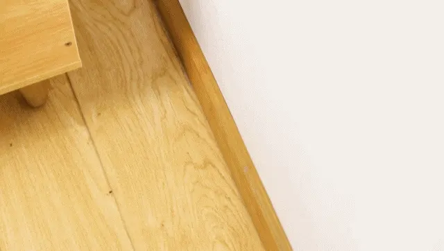 Edge strips sometimes want a second, slower stroke: the lit crevice tip rides the baseboard seam.