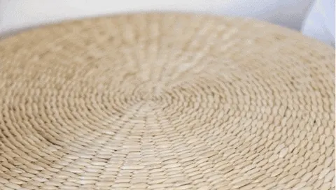 Floor dust and rug debris go in a single back-and-forth pass.
