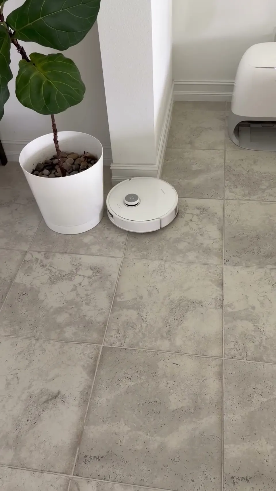 The extending side brush is built for spots like this; the robot sits beside a wall corner and plant.