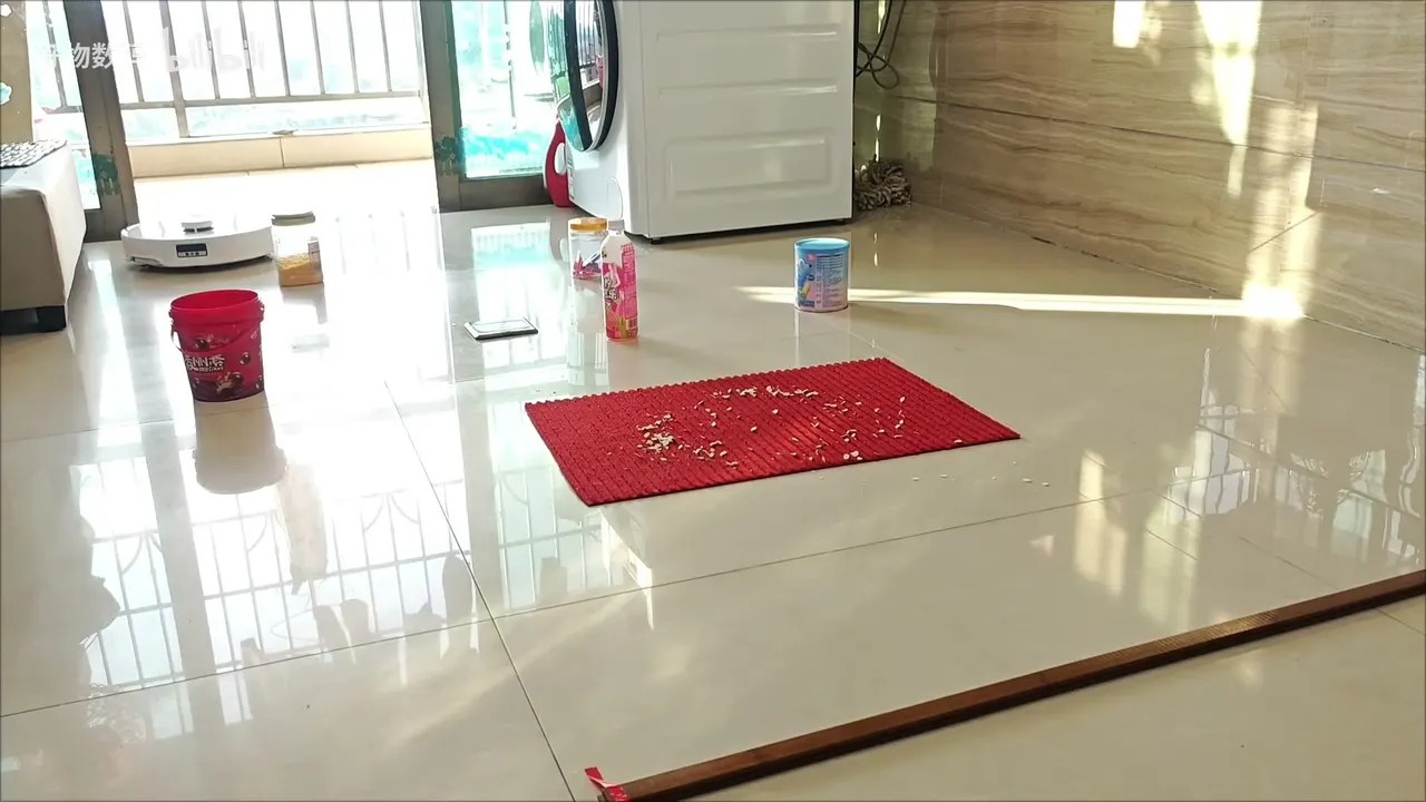 In tester runs, scattered debris on hard floors cleared in single passes; the red mat holds the test scatter.