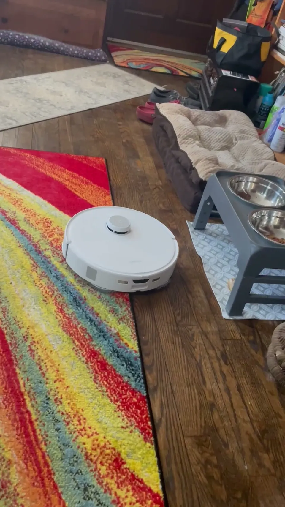 On rugs the mop pads lift and the robot vacuums only; here it sits on a striped area rug.